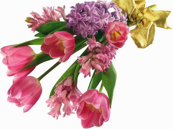 Pink tulips and hyacinths with a gold bow