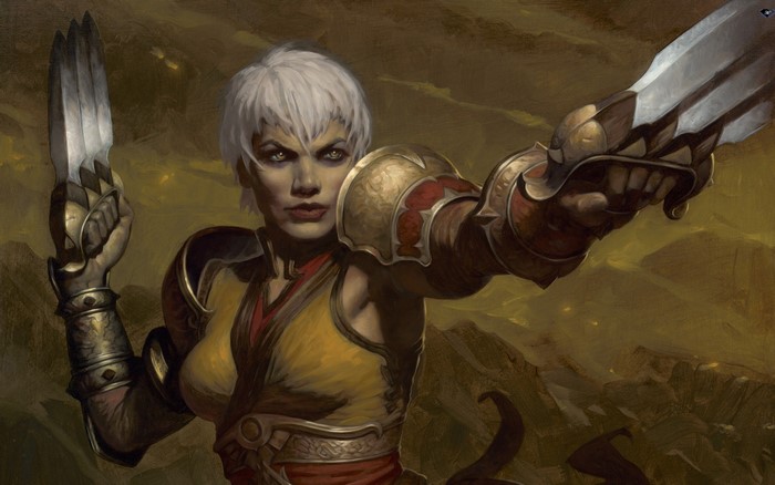 Diablo III: Monk with dual blades