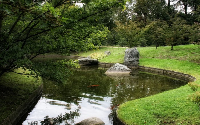 A tranquil Japanese garden with a pond and koi fish