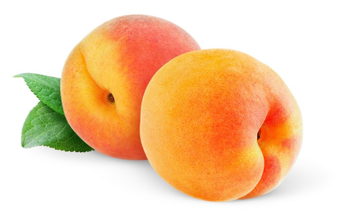 Two ripe apricots with leaves