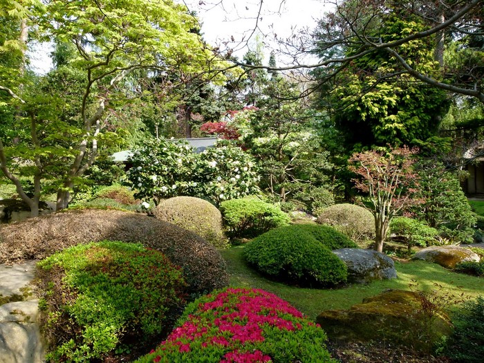 Japanese garden with manicured bushes and trees