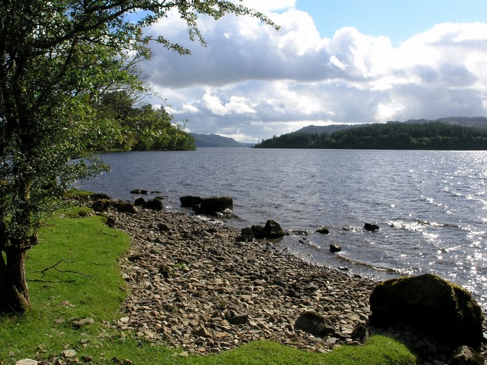 Lake with forested hills and rocky shore