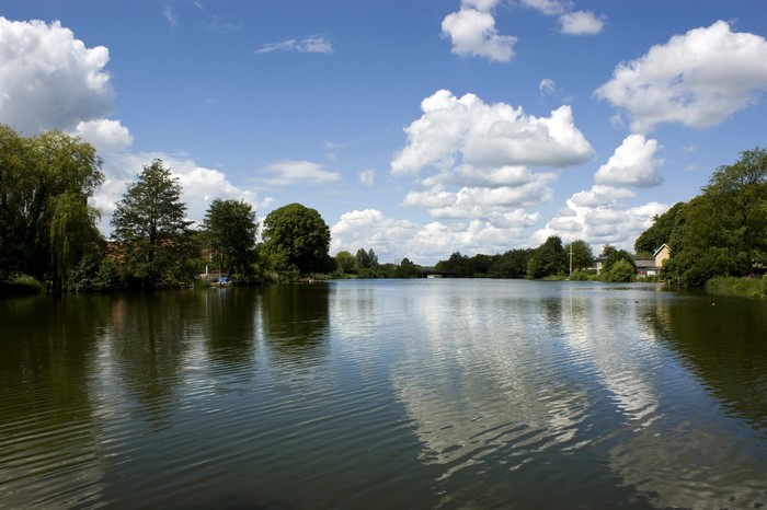 Lake with trees and clouds