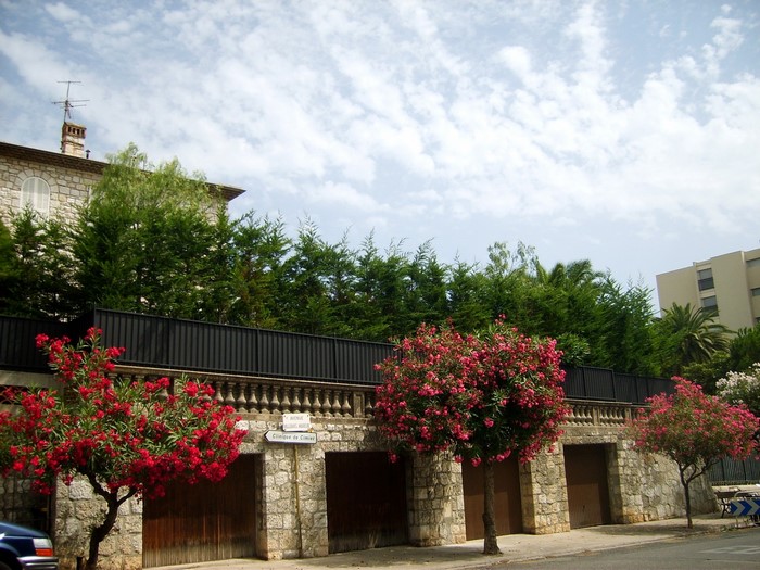 Stone building with garages and flowering trees in France