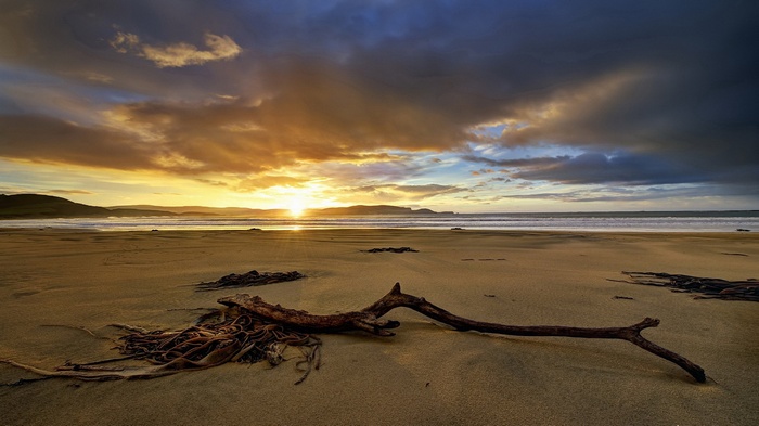 Sunset over a beach with driftwood and seaweed