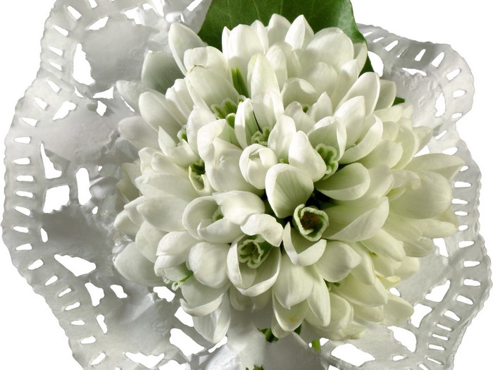 Bouquet of white snowdrops on a doily