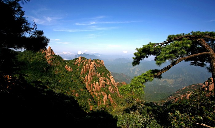Jagged mountains covered in green trees under a blue sky