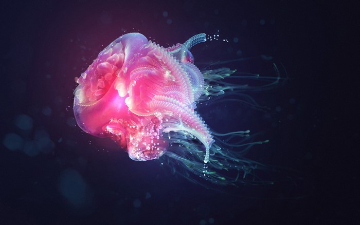 Pink and purple jellyfish underwater