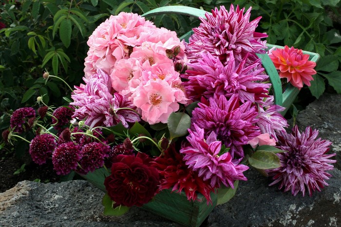 Bouquet of pink roses and purple dahlias in a green basket