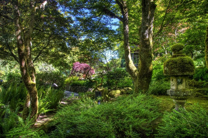 Moss-covered stone lantern in a lush garden