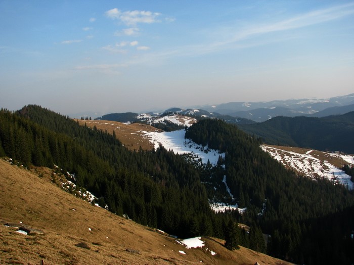 Snow-dusted mountains with evergreen forests under a blue sky