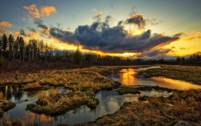 Sunset over a marshy river with trees