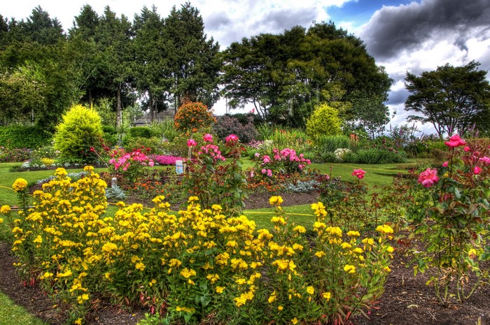Beautiful garden with colorful flowers and trees
