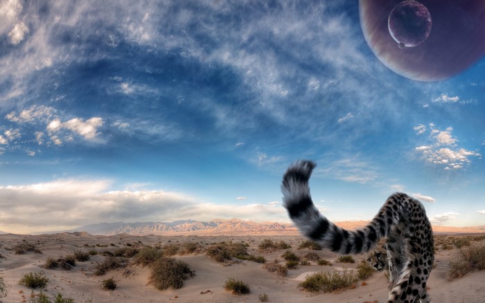 Cheetah in a desert landscape with alien planets