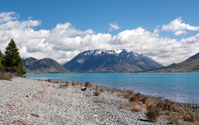 Lake with Snow-Capped Mountains and Rocky Shore