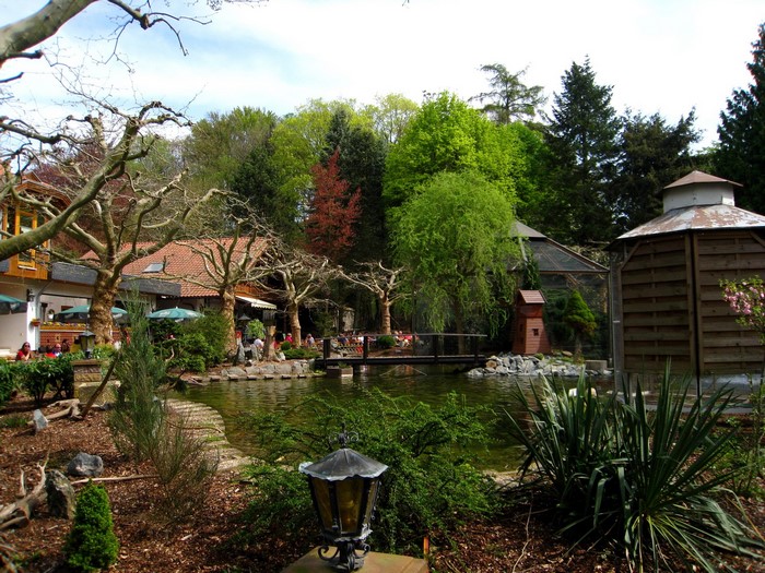 Park with pond and buildings