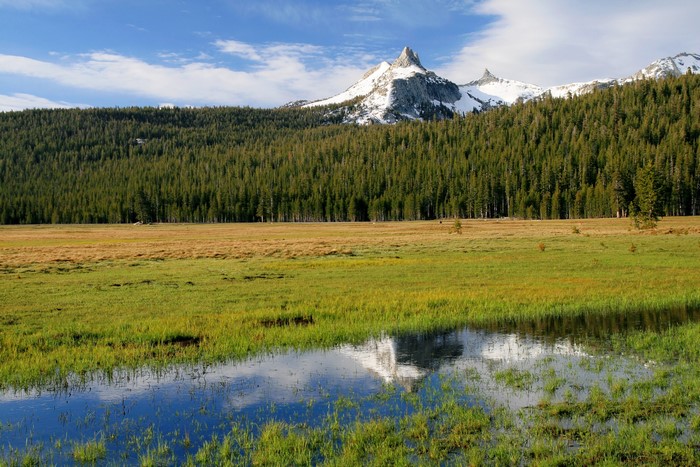Cathedral Peak, Yosemite National Park, California, USA
