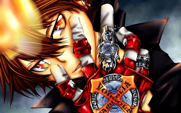 Tsunayoshi Sawada from Reborn!