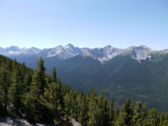 Banff National Park Mountains and Forest