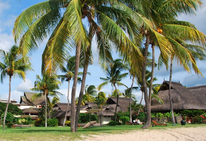 Tropical resort with palm trees and thatched roof buildings