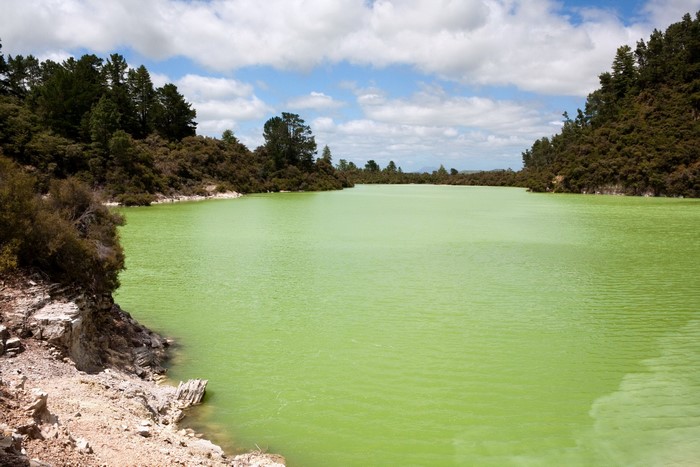 Green lake surrounded by trees under a cloudy sky