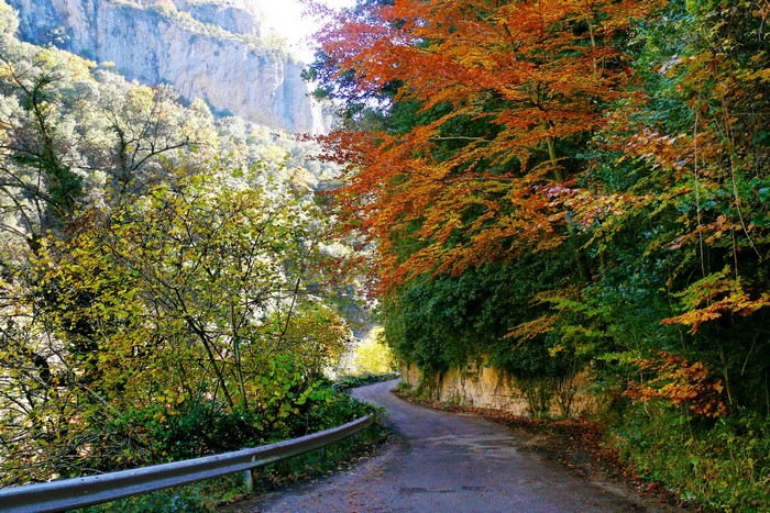 Winding road through autumn forest with mountains