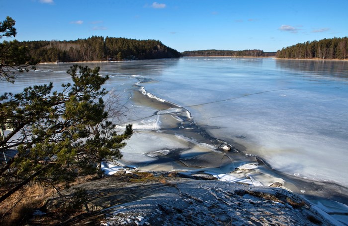 Frozen lake with pine trees and forest