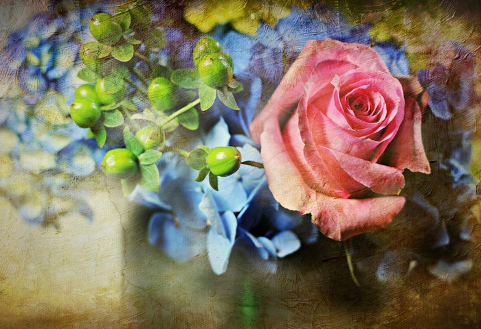 Pink rose with hydrangeas and berries