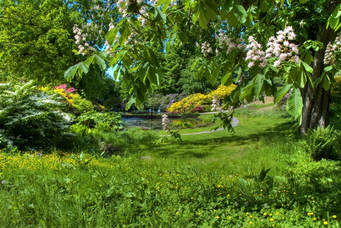 Gardens of Sofiero Castle Helsingborg Sweden