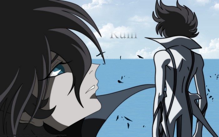 Casshern Sins
