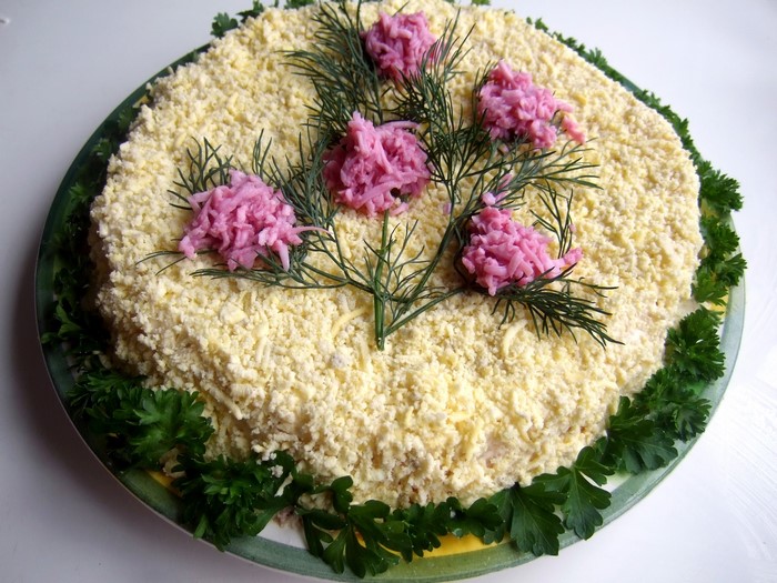 Layered salad decorated with dill and pink toppings