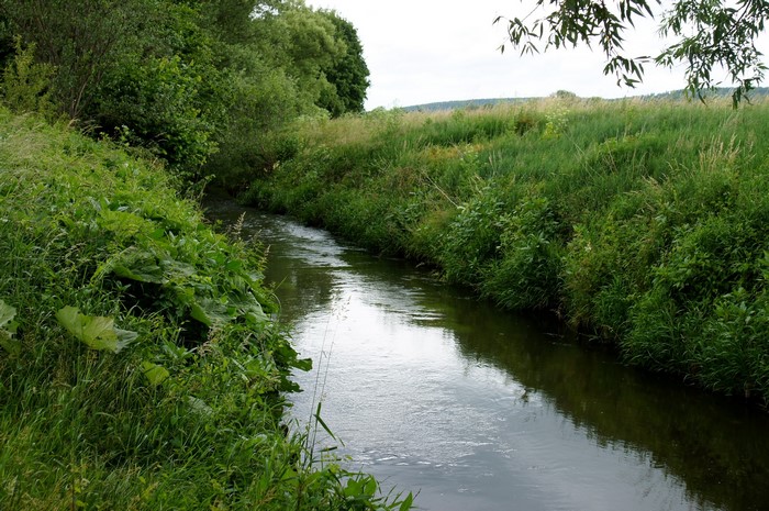 A small river flows through a grassy landscape