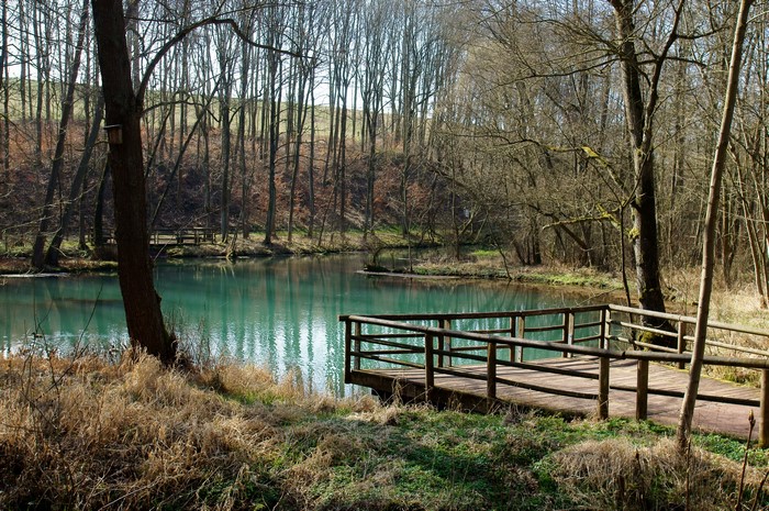 Wooden pier on a turquoise lake surrounded by trees