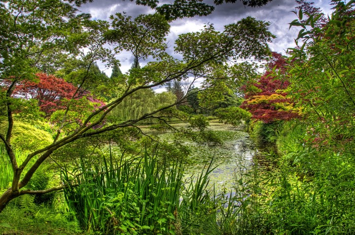 VanDusen Botanical Garden Vancouver pond with trees