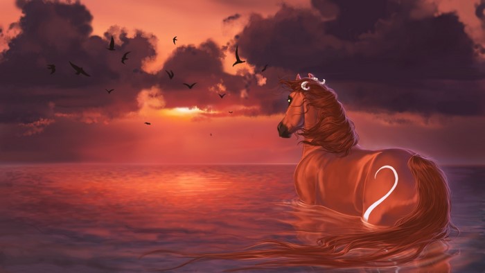 Brown horse with a white crescent moon marking in the water at sunset
