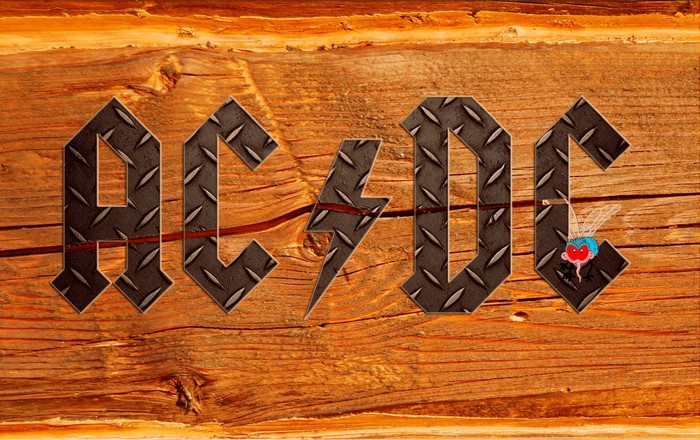 AC/DC logo with a fly on wood background
