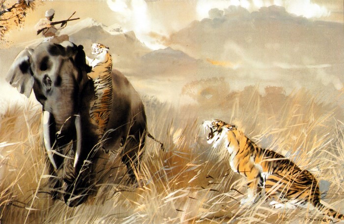 Elephant hunt with tigers and hunter in jungle