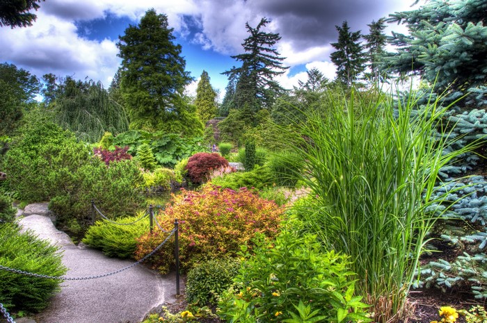 A winding path through a lush botanical garden