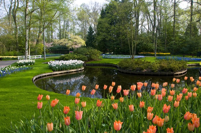 Keukenhof Gardens in Lisse, Netherlands with tulips and pond