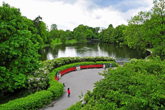 Park with a lake and red benches