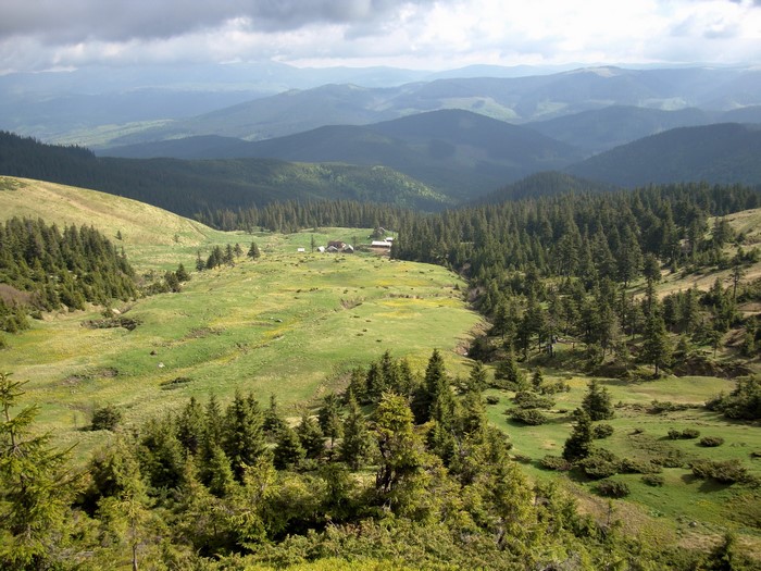 Mountain landscape with green valleys and pine forests