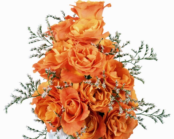 Bouquet of orange roses with white filler flowers