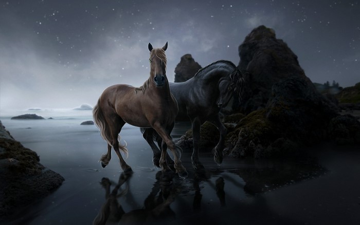 Two horses on a beach at night