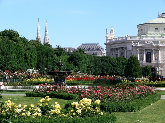 Volksgarten park with roses and fountain in Vienna