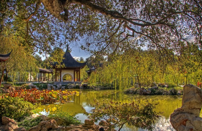 Chinese Garden with Pond and Pagoda in San Marino, California