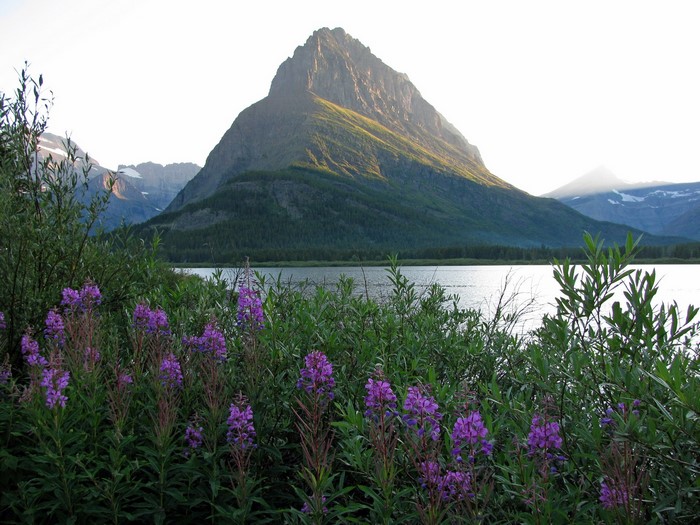 Swiftcurrent Lake and Mountains in Glacier National Park