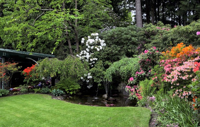 Beautiful garden with pond and flowers