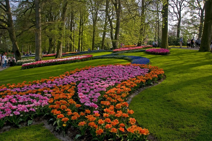 A park with colorful flower beds and trees