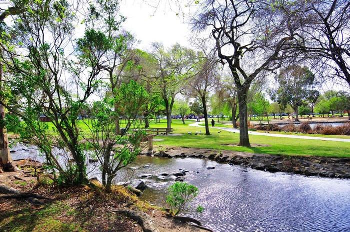 Park with a stream and trees