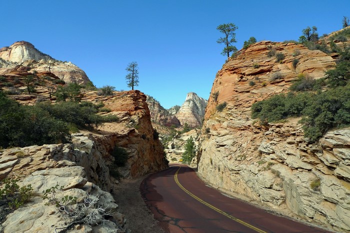 Zion National Park Road